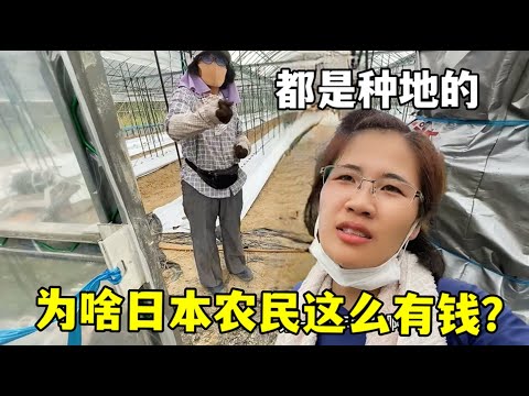 歐美杯決賽,時間已敲定,世界杯小组赛,世界杯小组赛,2026世界杯,小组赛对阵,球队战术,赛事动态