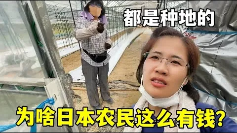 2025歐美杯決賽時間已敲定！